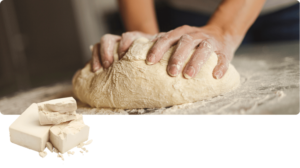 Beta-Glucan aus Hefe 1,31,6 – Beterskupp Zutatenwissen Starkholt