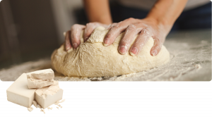 Beta-Glucan aus Hefe 1,31,6 – Beterskupp Zutatenwissen Starkholt