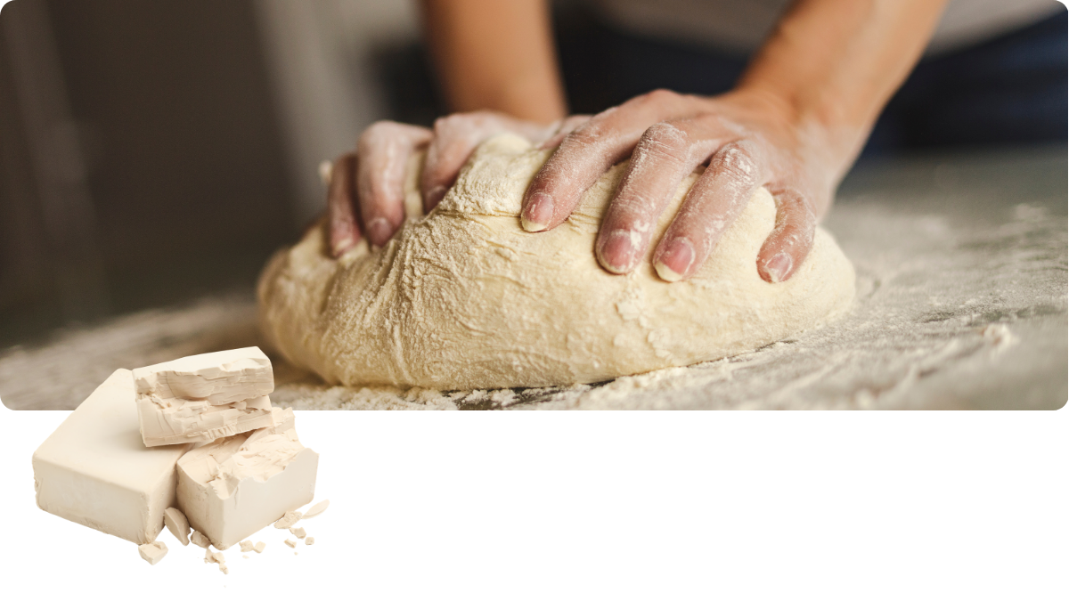 Beta-Glucan aus Hefe 1,31,6 – Beterskupp Zutatenwissen Starkholt