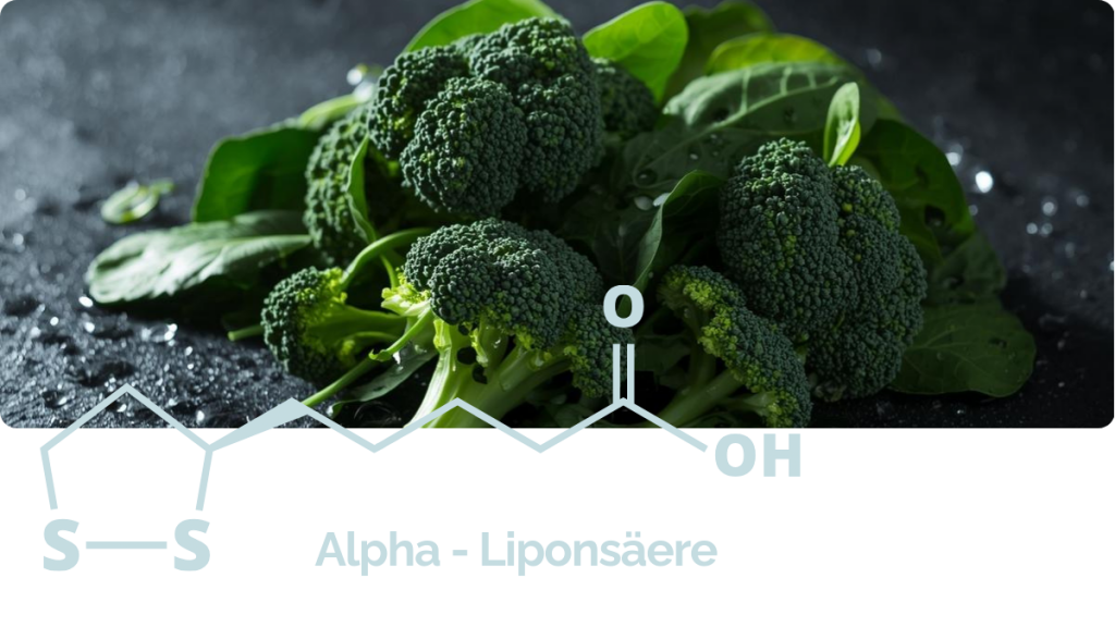 Alpha-Liponsäure Antioxidans – Beterskupp Zutatenwissen Rüümklar