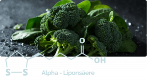 Alpha-Liponsäure Antioxidans – Beterskupp Zutatenwissen Rüümklar