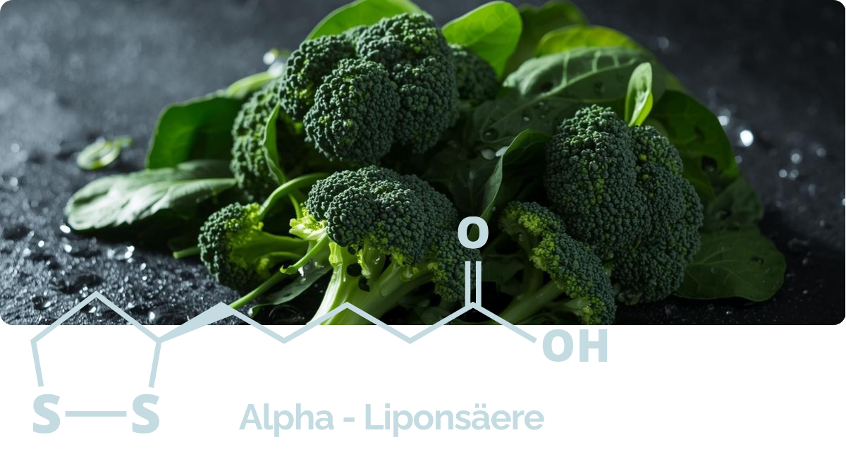 Alpha-Liponsäure Antioxidans – Beterskupp Zutatenwissen Rüümklar