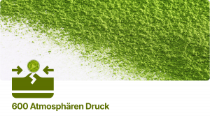 Chlorella Zellwandbruch Bioverfügbarkeit – Beterskupp Zutatenwissen Starkholt+, Ornungholt+, Sielbalm Harmonie+