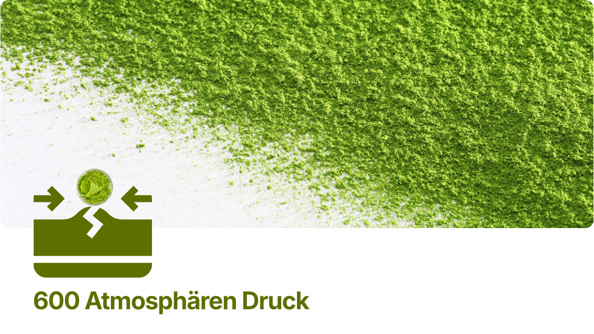 Chlorella Zellwandbruch Bioverfügbarkeit – Beterskupp Zutatenwissen Starkholt+, Ornungholt+, Sielbalm Harmonie+