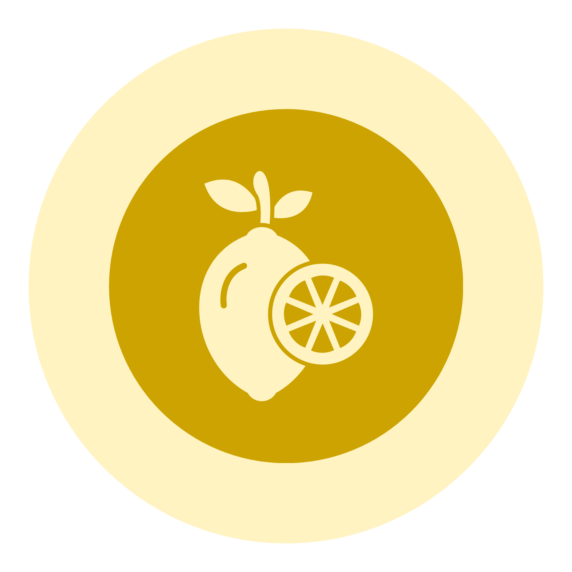 Geschichte der Zitrusfrüchte_Beterskupp_Zutatenwissen