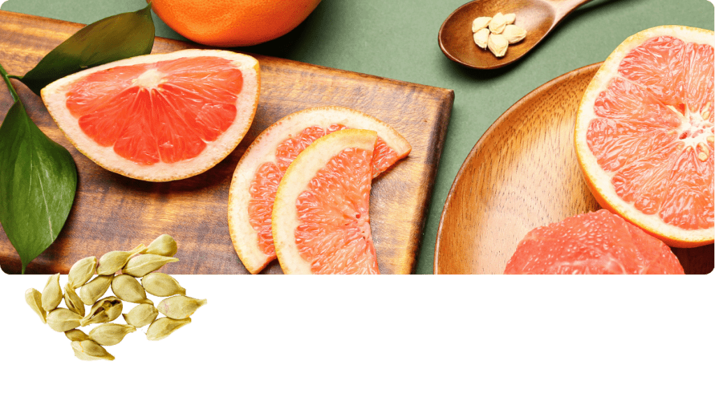Foto-Grapefruitkernextrakt-Citrus-paradisi-Beterskupp® -Zutatenwissen-Schildtrank