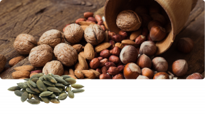 L-Arginin Aminosäure – Beterskupp Zutatenwissen Sielbalm Harmonie+