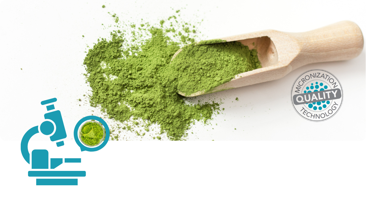 Mikronisierung Bioverfügbarkeit – Beterskupp Zutatenwissen Rüümklar+, Ornungholt+, Sielbalm Harmonie+, Schildtrank+, Kraftdeel Mg+, Starkholt+