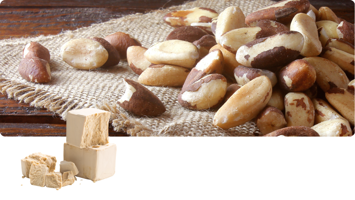 Selen Spurenelement aus Selenhefe – Beterskupp Zutatenwissen Schildtrank+