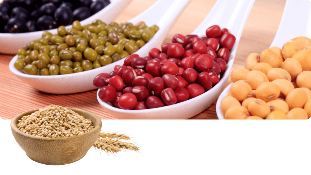 Foto Vitamin B3 Niacin_ Beterskupp Zutatenwissen Kraftdeel Mg+