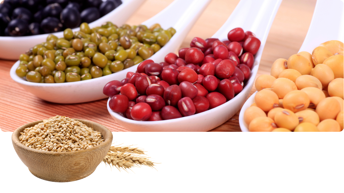 Vitamin B3 Niacin_ Beterskupp Zutatenwissen Kraftdeel Mg+