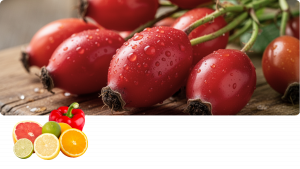 Natriumascorbat Vitamin C – Beterskupp Zutatenwissen Rüümklar+