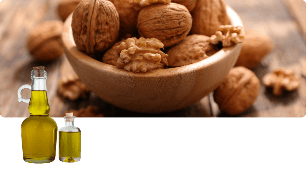 Walnuss Juglans regia – Beterskupp Zutatenwissen Rüümklar